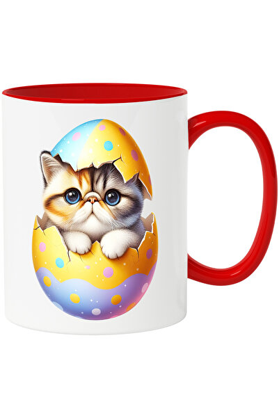 StoryGift Romania Cana cu o pisicuta grasuta | ilustratie | iese dintr-un ou ...