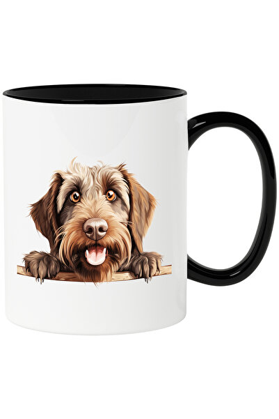 StoryGift Romania Cana cu un caine blanos care se uita curios peste gard | il...