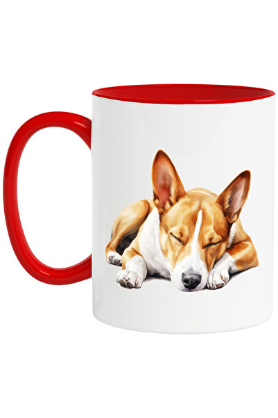 StoryGift Romania Cana cu un caine care doarme lat | ilustratie | ora de culc...
