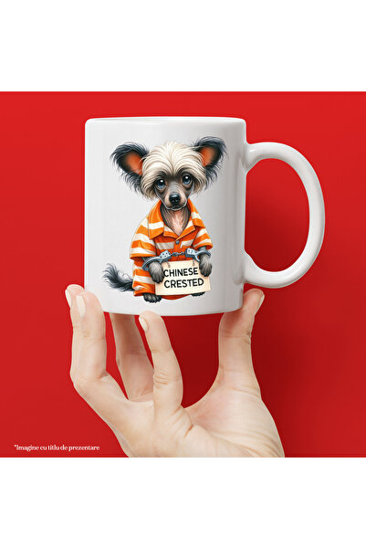 StoryGift Romania Cana cu un catel Chinese Crested la puscarie, incatusat, ar...