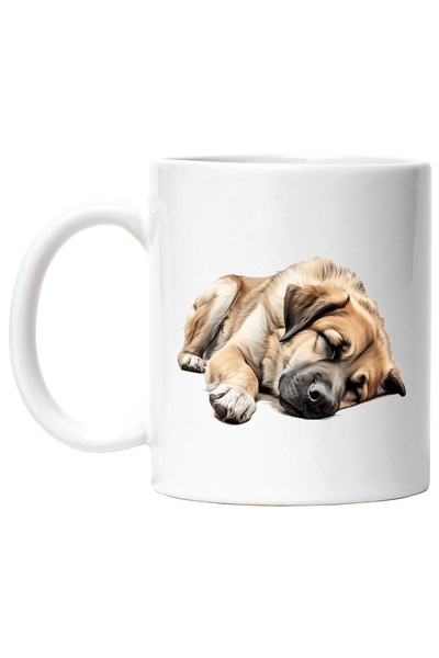 StoryGift Romania Cana cu un caine care doarme lat | ilustratie | oboseala | ...