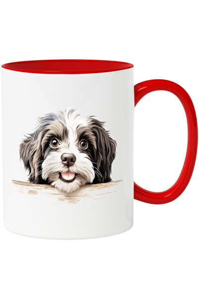 StoryGift Romania Cana cu un catel blanos | ilustratie | jucaus | isi asculta...