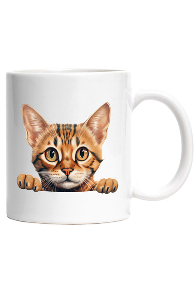 StoryGift Romania Cana cu o pisicuta serioasa | privire surprinsa | ilustrati...