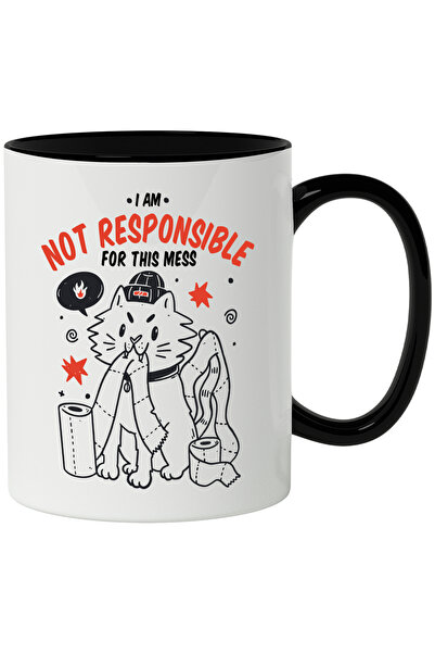StoryGift Romania Cana Cu Mesaj I am not Responsible For This Mess, Pisica, H...