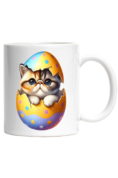 StoryGift Romania Cana cu o pisicuta grasuta | ilustratie | iese dintr-un ou ...