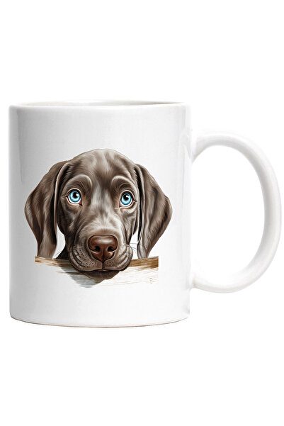 StoryGift Romania Cana cu un caine timid | ilustratie | ochi albastri | putin...