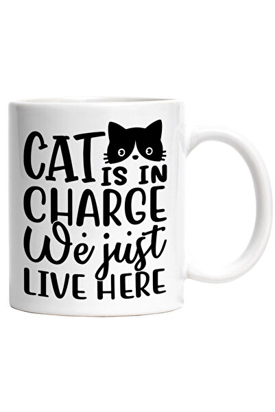 StoryGift Romania Cana pentru cei care ii ofera intreaga autoritate unei pisi...