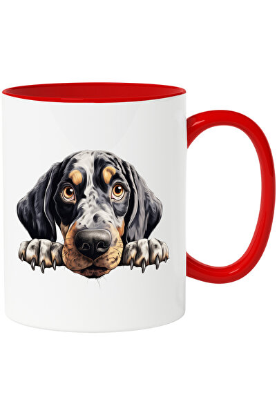 StoryGift Romania Cana cu un catel dezamagit care nu prea a fost ingrijit | i...