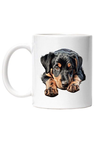 StoryGift Romania Cana cu un catelus negru somnoros | ilustratie | obosit | f...