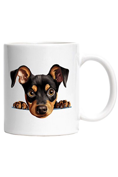 StoryGift Romania Cana cu un catel surprins care se uita peste gard | ilustra...