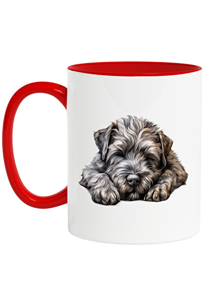 StoryGift Romania Cana cu un caine care doarme dus | ilustratie | obosit | so...