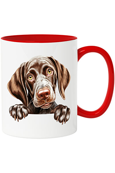 StoryGift Romania Cana cu un caine surprins | ilustratie | cam sfios | pentru...