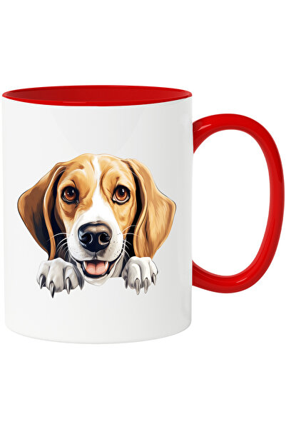 StoryGift Romania Cana cu un catel vesel | ilustratie | jucaus | curiozitate ...