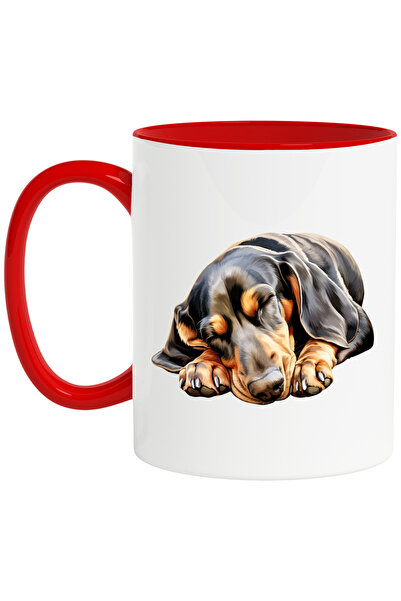 StoryGift Romania Cana cu un catel Dachshund care doarme | ilustratie | somn ...