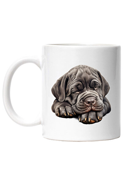 StoryGift Romania Cana cu un catelus gri care doarme | ilustratie | obosit | ...