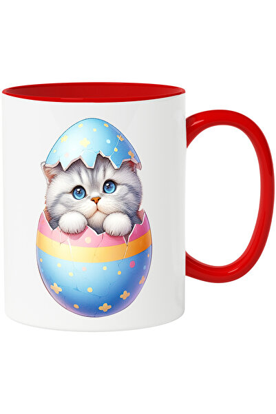 StoryGift Romania Cana cu o pisicuta timida care iese dintr-un ou spart | ilu...