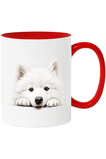 StoryGift Romania Cana cu un caine alb care priveste curios | ilustratie | vr...