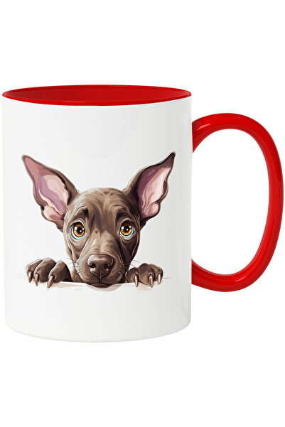 StoryGift Romania Cana cu un catelus tristut | ilustratie | are nevoie de gri...