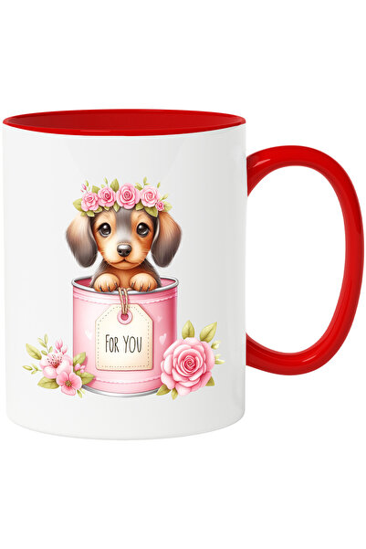 StoryGift Romania Cana cu o catelusa timida care iese dintr-o conserva | flor...