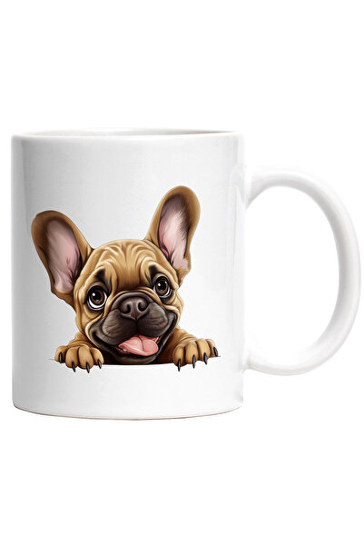 StoryGift Romania Cana cu un catel cu limba scoasa | ilustratie | asculta ate...