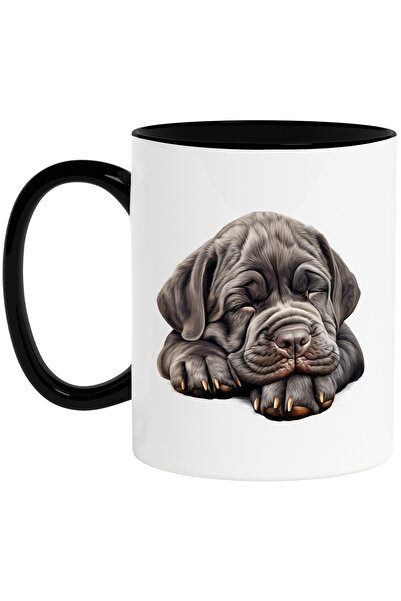 StoryGift Romania Cana cu un catelus gri care doarme | ilustratie | obosit | ...