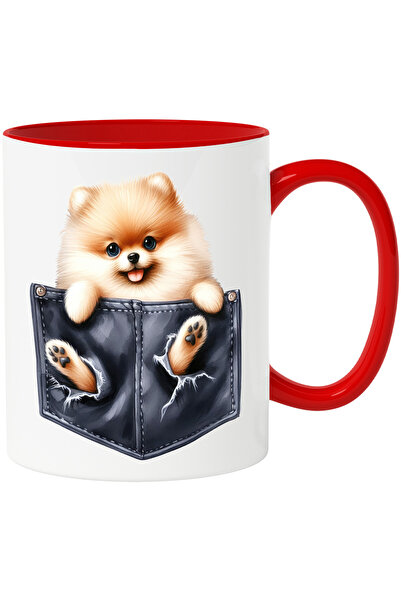 StoryGift Romania Cana cu un catelus blanos vesel | a rupt buzunarul | ilustr...