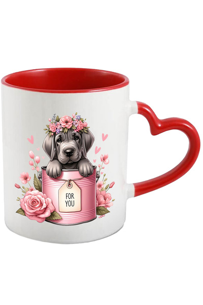 StoryGift Romania Cana cu un catel gri rusinos care iese dintr-o conserva | i...