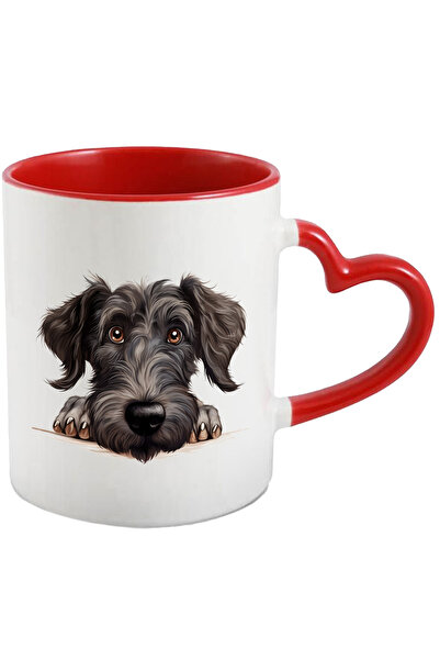 StoryGift Romania Cana cu un caine blanos care priveste surprins | ilustratie...