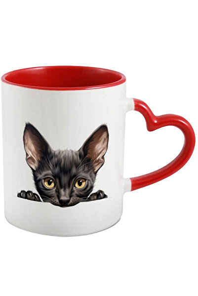 StoryGift Romania Cana cu o pisicuta neagra care priveste sfioasa | ilustrati...