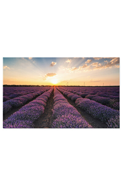 StoryGift Romania Tablou Canvas - Provence In Lavanda: Peisaje Colorate