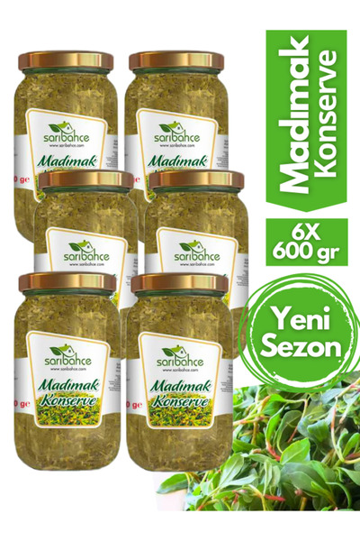 Sarıbahçe Madımak Konservesi (600 GR) - 6'lı Paket Tokat Sivas Amasya Madımak
