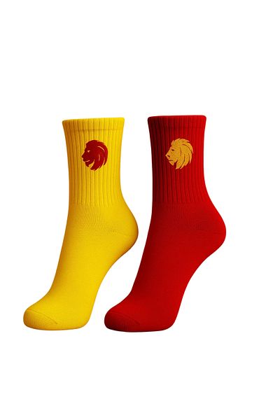 AYDK Fan 2 Pairs Yellow Red Lion Embroidered Casual Summer Winter Unisex Socket Tennis Fan Socks