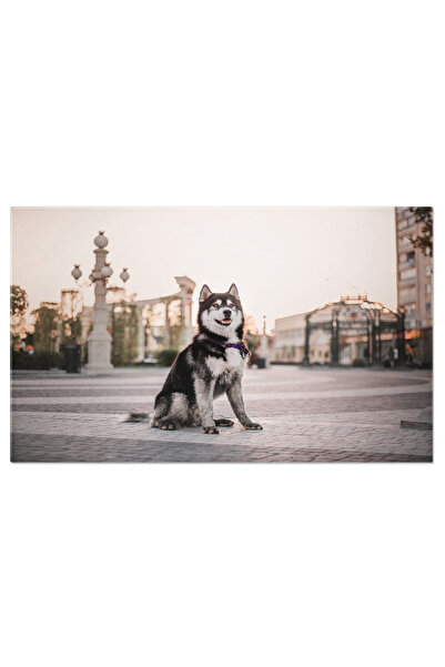 StoryGift Romania Tablou Canvas: Zorii Cu Patru Labe - Caine In Oras