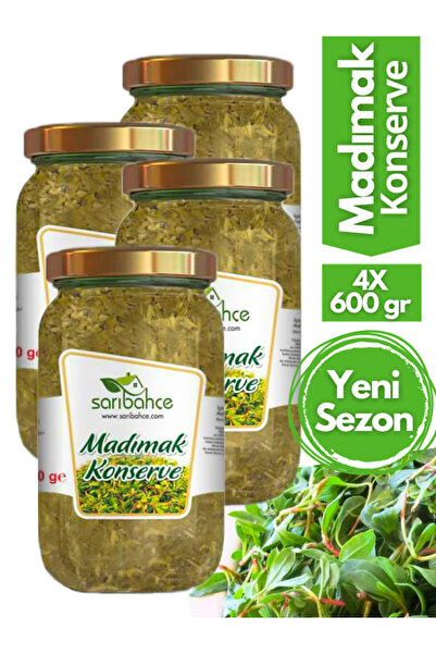 Sarıbahçe Madımak Konservesi (600 GR) - 4'lü Paket Tokat Sivas Amasya Madımak