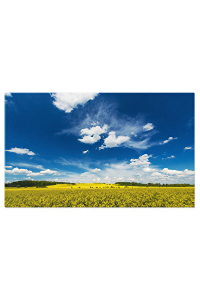 StoryGift Romania Tablou Canvas Peisaj Cu Campuri De Rapita O Priveliste Inca...