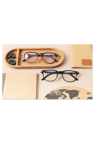 StoryGift Romania Tablou Canvas - Ochelari La Moda: Accesorii Pentru Stil