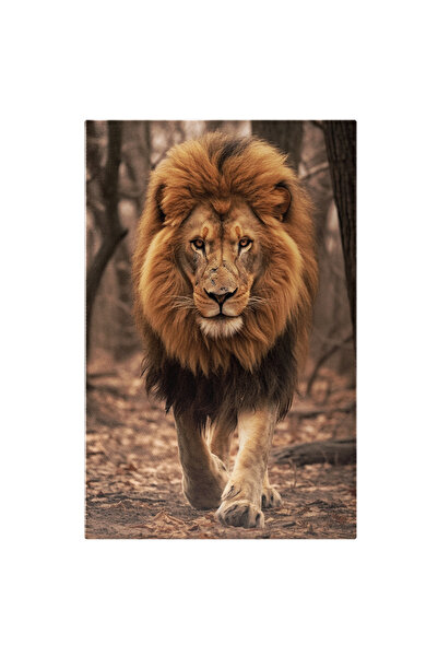 StoryGift Romania Tablou Canvas: Fotografie Cu Un Leu Care Merge Linistit - R...