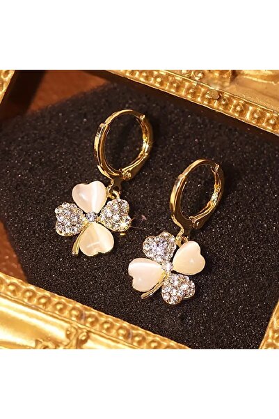 Dodemert Home Zirkon Taşlı 4 Yapraklı Yonca Küpe