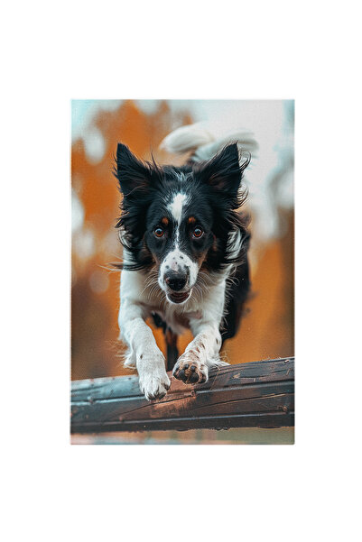 StoryGift Romania Tablou Canvas: Cainele Cu Ochii Caprui Induiosatori Si Blan...