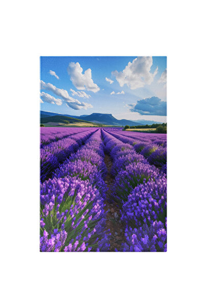 StoryGift Romania Tablou Canvas: Buchete Mov De Lavandă Lan Imens Și Nori Călători Flori Pe Câmpul Verde Pictura