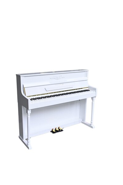Arsenberg 1923 WNG 2025 Versiyon