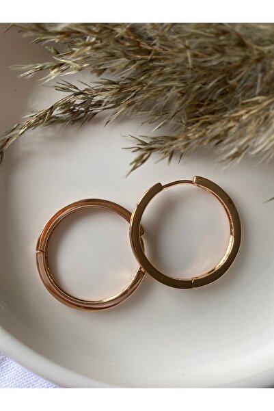 Luvitaaksesuar Zirkon Taşlı Rose Gold Renk İnce Halka Küpe