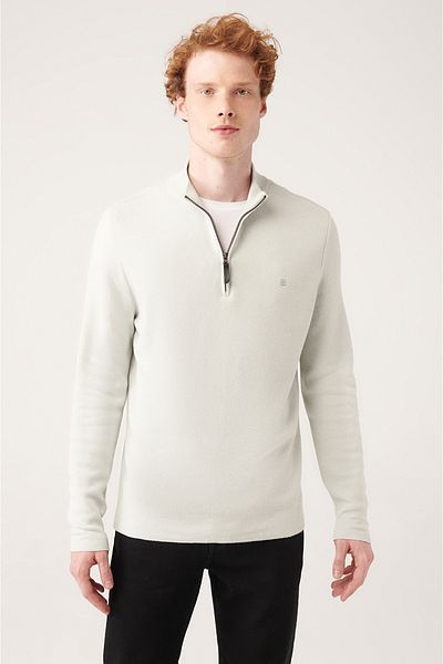 Avva Men's Light Gray Stand Collar Zippered Knitwear Sweater A31Y5012