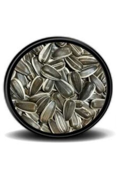 Vivid Bird DAKOTA CEKİRDEK 1 KG