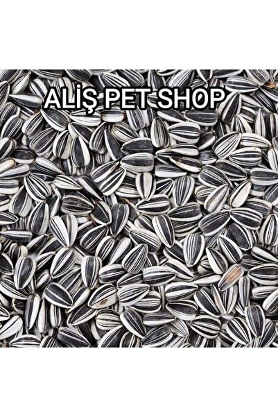 Vivid Bird Çizgili Küçük Çekirdek 1 kg