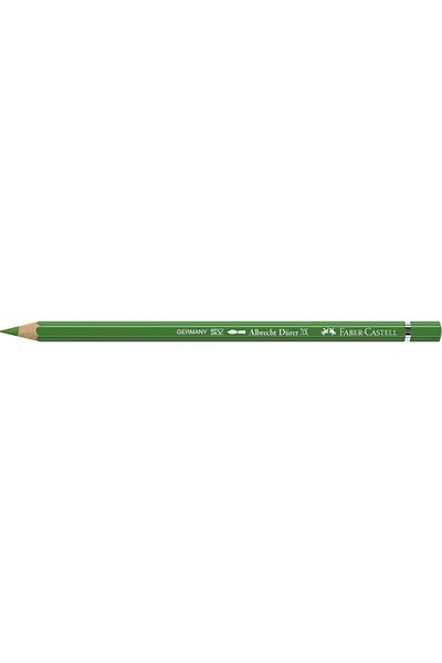 STOREMAX Ntwork A.Dürer 8200-264 Fit.Green Aquarell Paint Kal Art 1087243