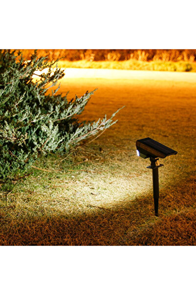 pazariz Güneş Enerjili Solar Led Lamba Bahçe 10 Ledli Peyzaj Işıkları Yürüyüş...