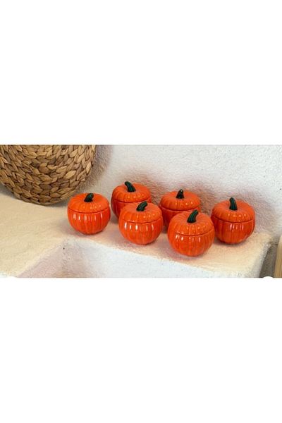 abenim Small Size Set of 6 Porcelain Pumpkin Spice Bowls 10X10