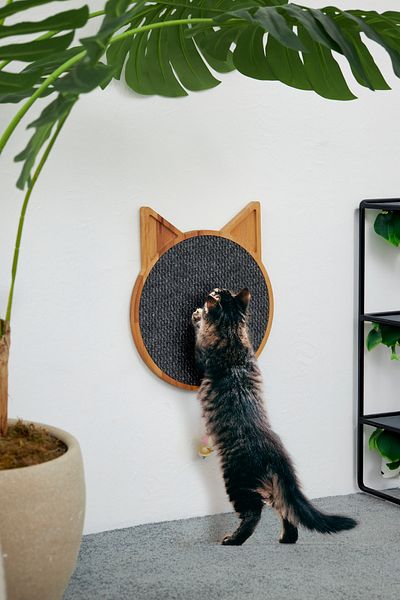 ESLENTA Wooden Wall Mounted - Round Cat Scratching Board