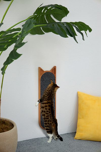 ESLENTA Wall Mounted Solid Wood Female Cat Scratching Board